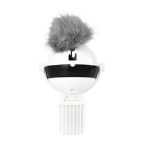 Interactive Electronic Motion Cat Toy
