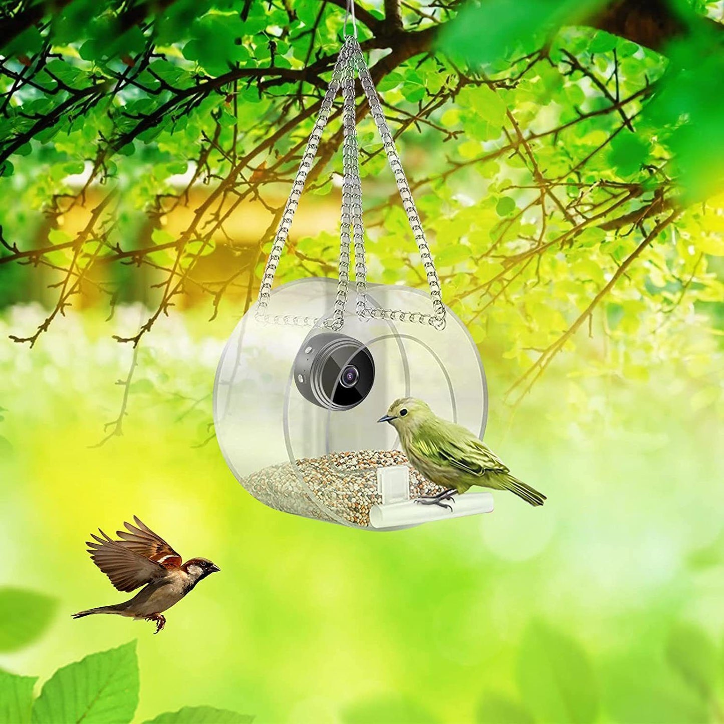 Bird Clear View HD Camera Smart Feeder