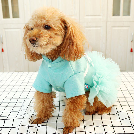 Aqua Tulle Princess Dress for Pets