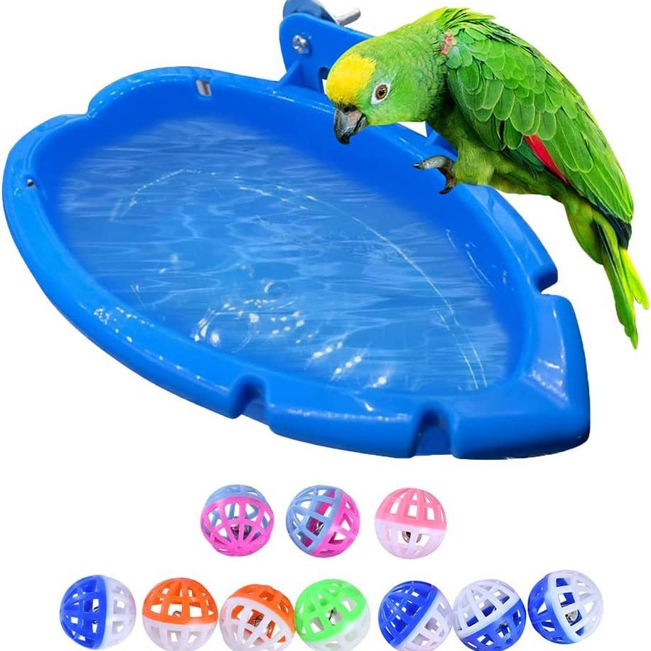 Splash & Dine Bird Bath Feeder
