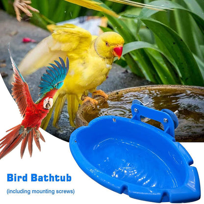 Splash & Dine Bird Bath Feeder