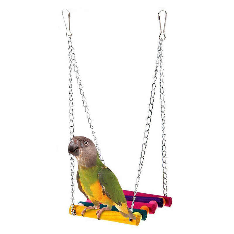 Rainbow Bridge Swing for Birds