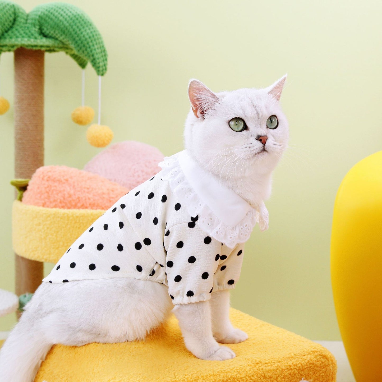 Polka Dot Pet T-Shirt with Ruffle Collar