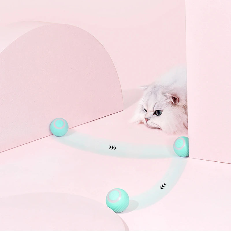 Interactive Remote Control Rolling Cat Toy Car