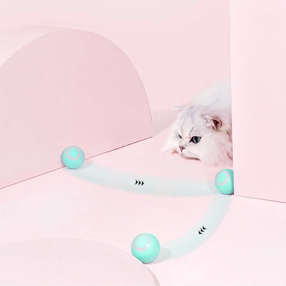 Interactive Remote Control Rolling Cat Toy Car