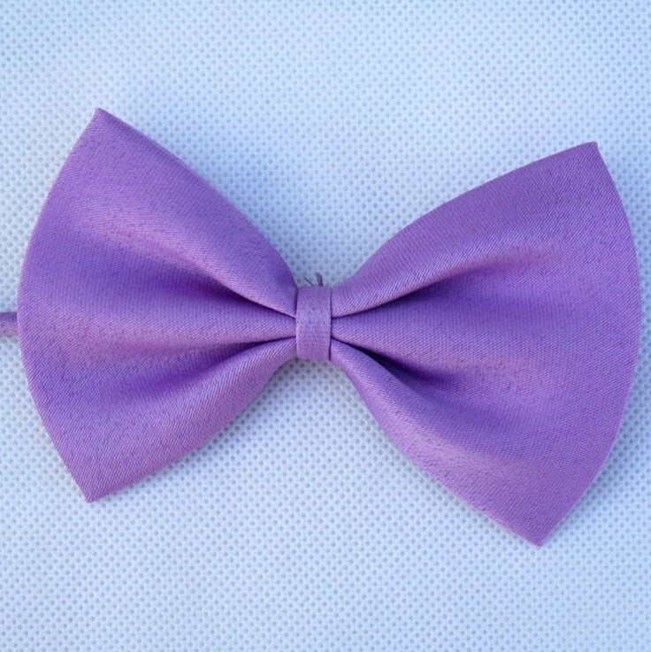 Adjustable Pet Bow Tie Collar for Dogs & Cats
