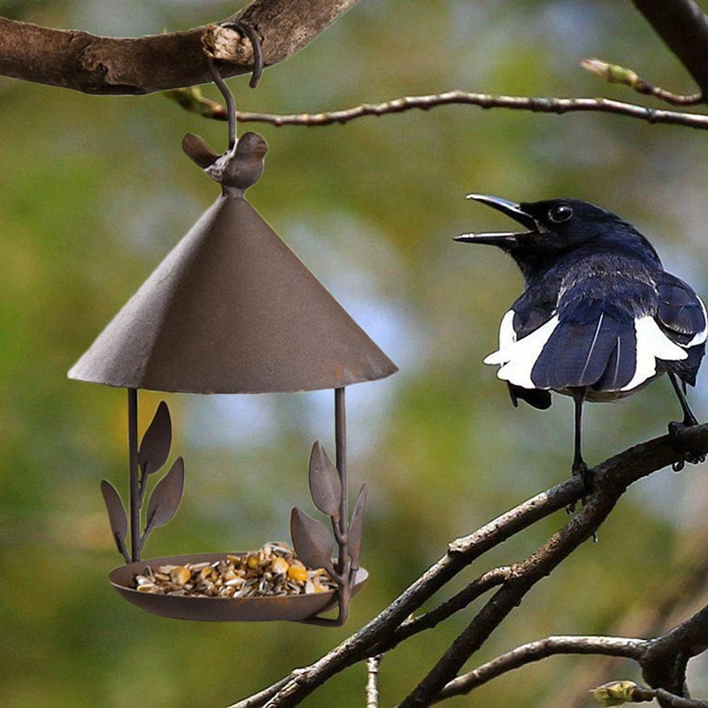 Iron Canopy Bird Feeder