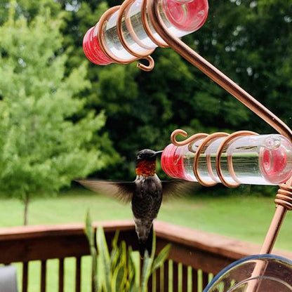 Suction-Mount Hummingbird Nectar Feeder