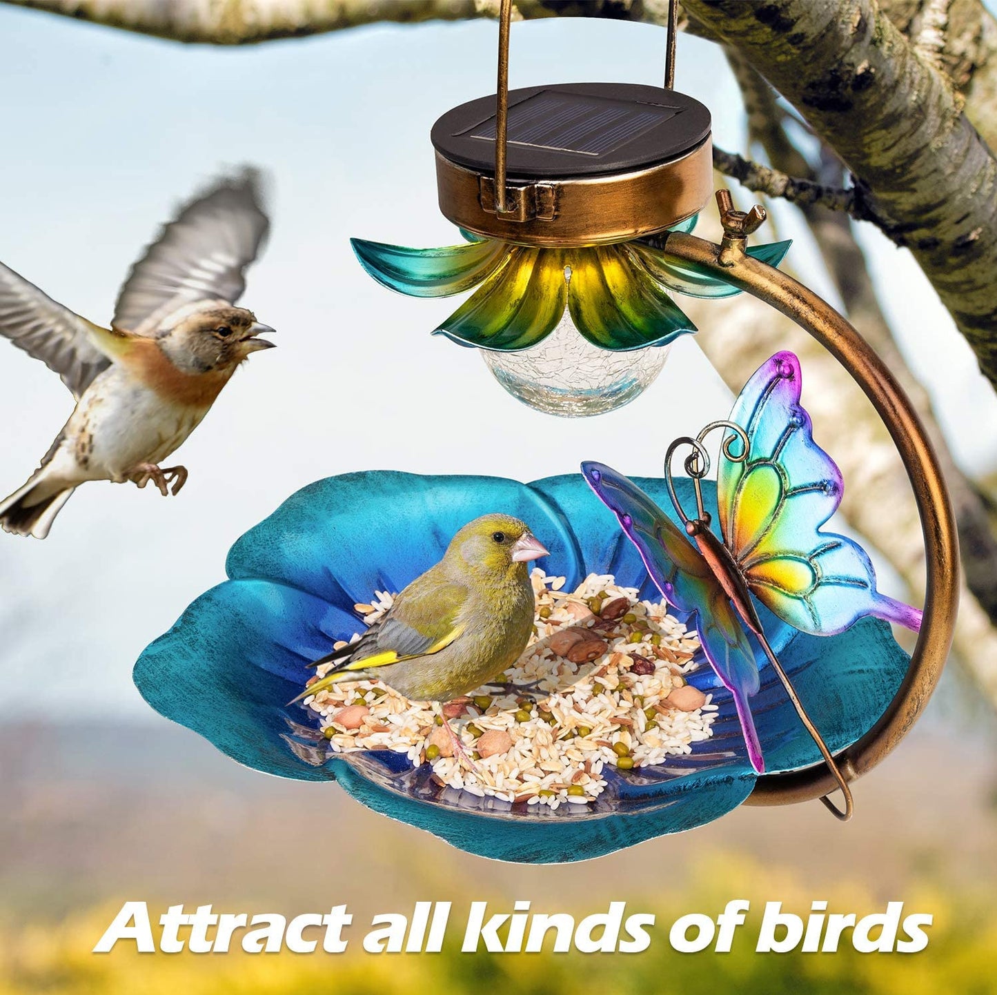 Solar Crackle Ball Bird Feeder