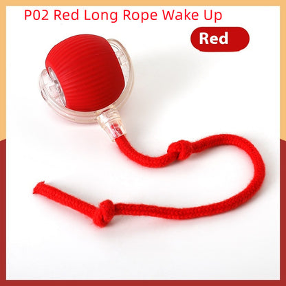 Interactive Automatic Rolling Ball Toy for Cats