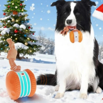 Motion & Sound Activated Rolling Dog Ball