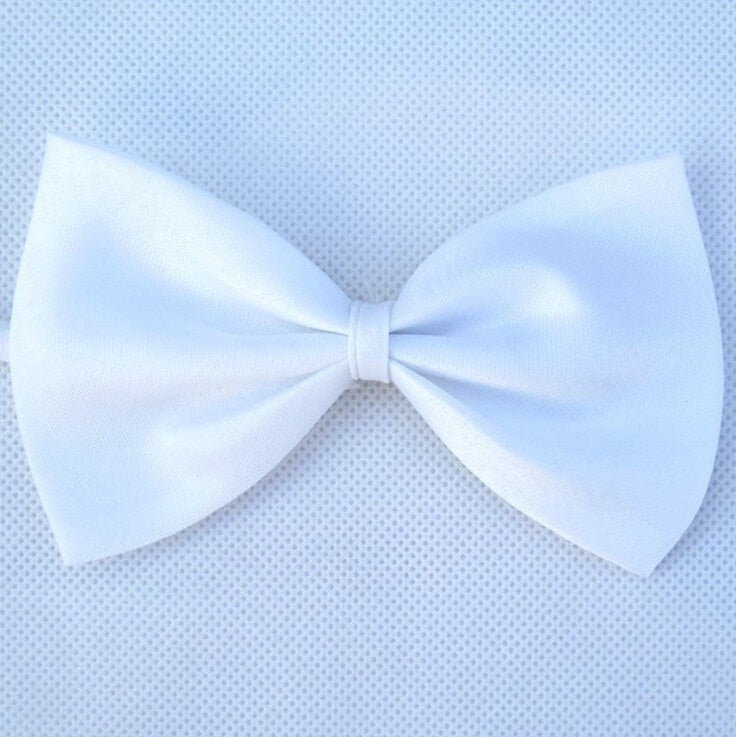Adjustable Pet Bow Tie Collar for Dogs & Cats