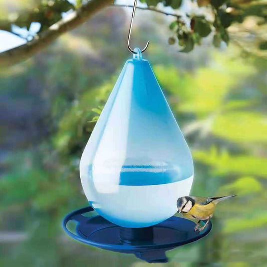 DewDrop Hanging Bird Feeder