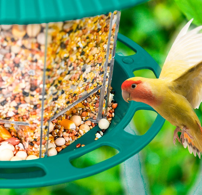Garden Hanging Perch Seed Feeder