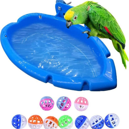 Splash & Dine Bird Bath Feeder