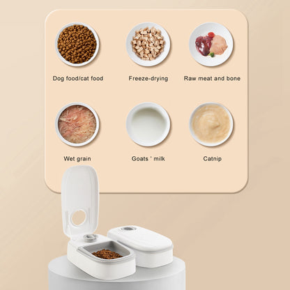 Automatic Timer Pet Feeder
