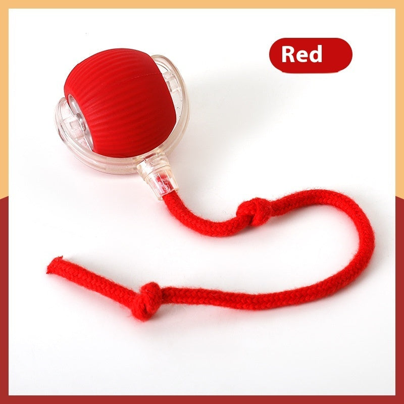 Interactive Automatic Rolling Ball Toy for Cats