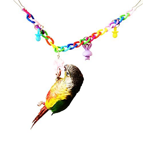 Rainbow Acrylic Climbing Chain for Birds