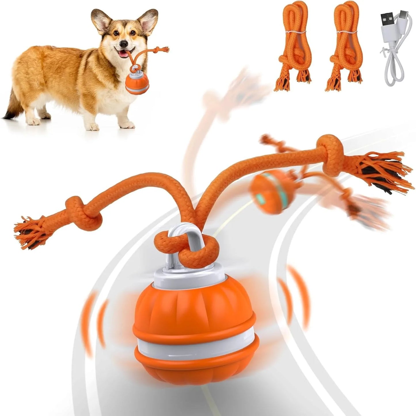 Motion & Sound Activated Rolling Dog Ball