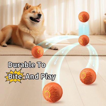 Automatic Dog Interactive Ball Toy