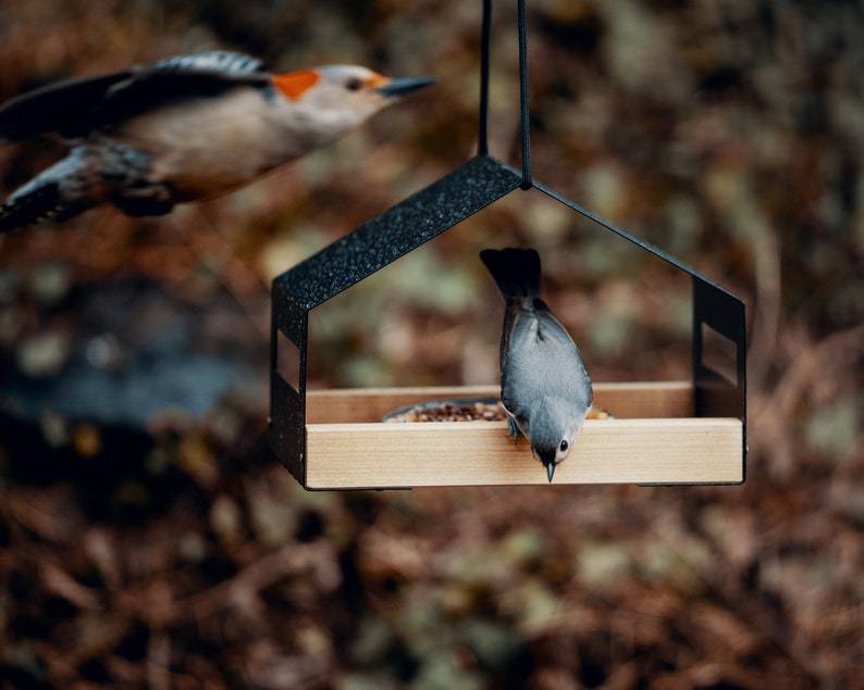 Modern Manor Bird Feeder