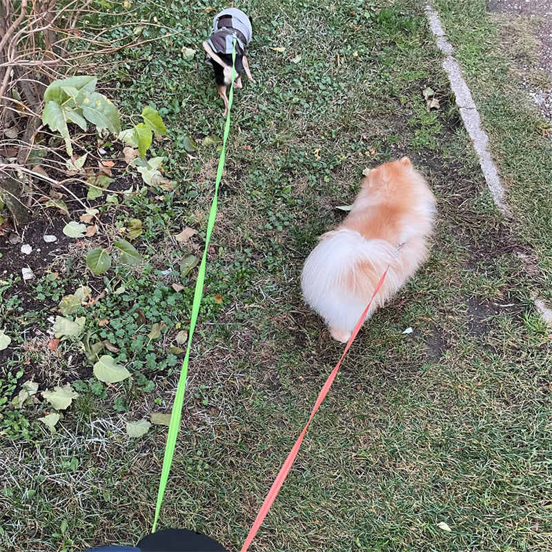 Retractable Dual Dog Leash with 360° Swivel & Flash Light