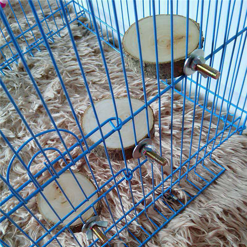 Natural Wooden Climbing Pier & Springboard for Small Pets