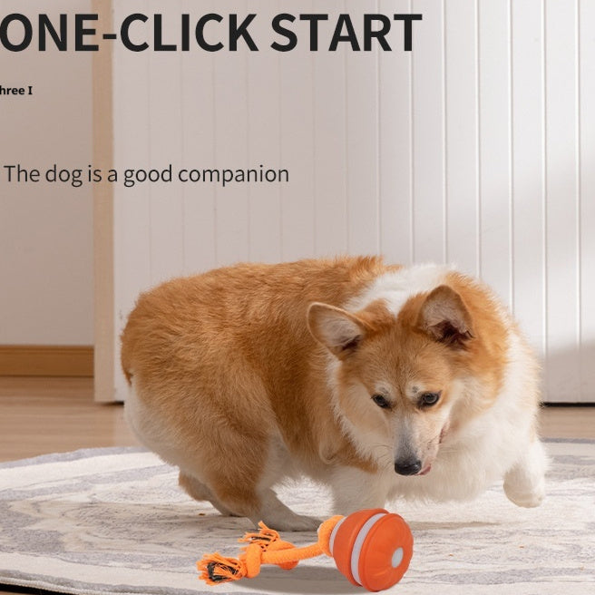 Motion & Sound Activated Rolling Dog Ball