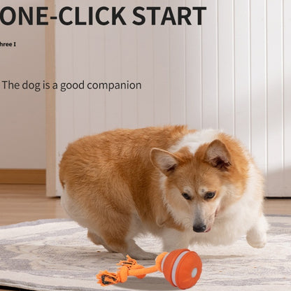 Motion & Sound Activated Rolling Dog Ball