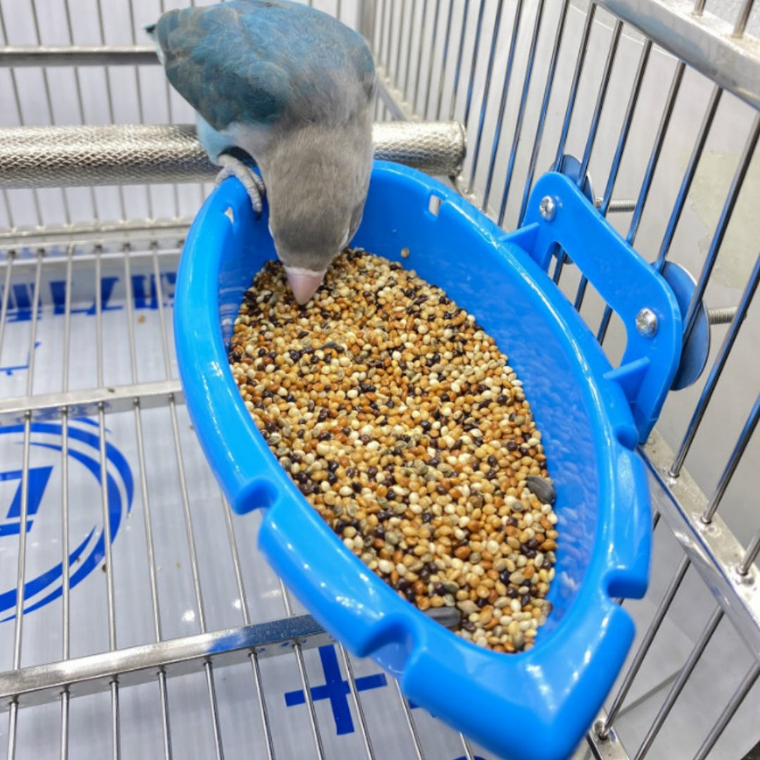 Splash & Dine Bird Bath Feeder