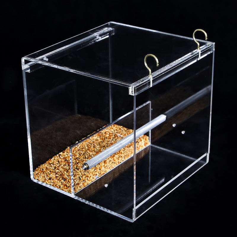 The Clear Nest Bird Feeder