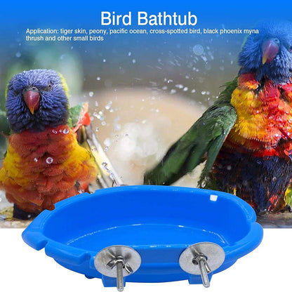 Splash & Dine Bird Bath Feeder
