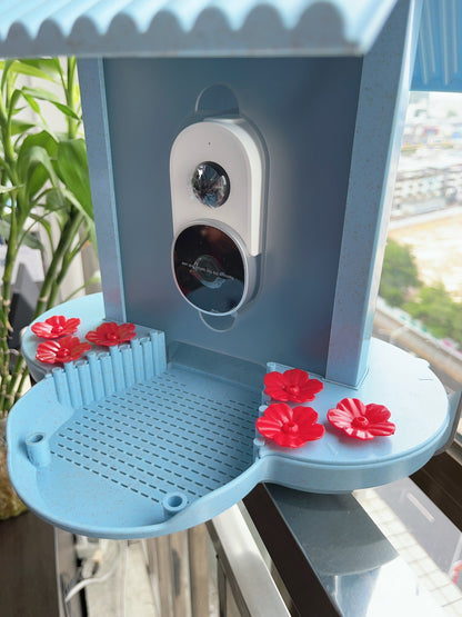 160° Smart Bird Identifier & Feeder
