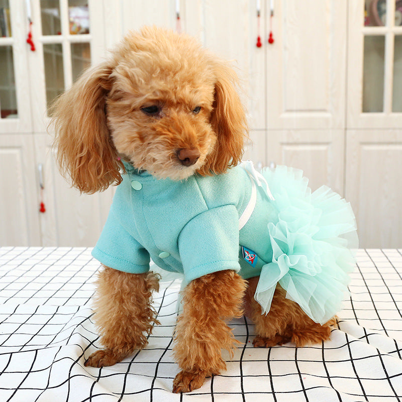 Aqua Tulle Princess Dress for Pets