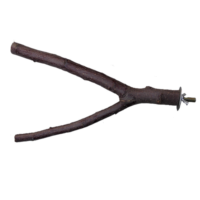 Apple Wood Ring Chewing & Branch Stick for Birds