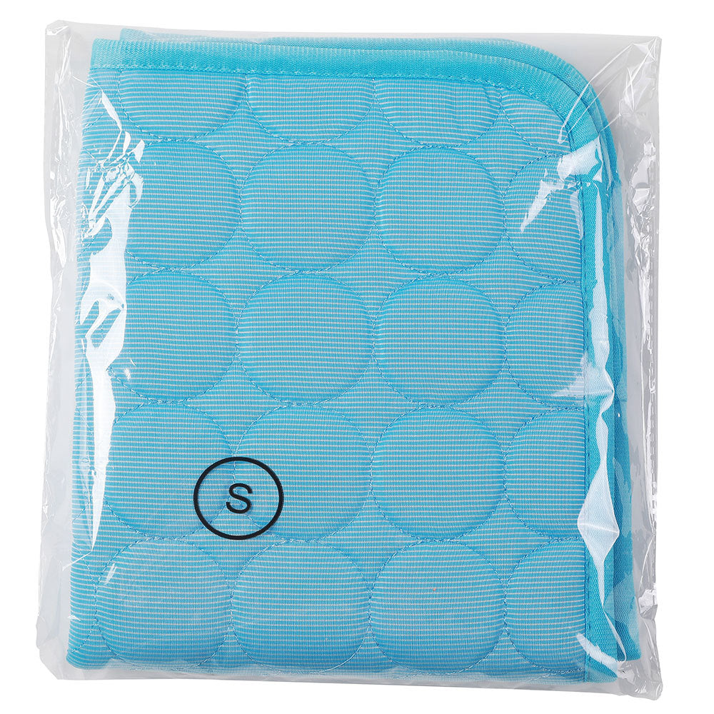 Pet Ice Silk Cooling Mat