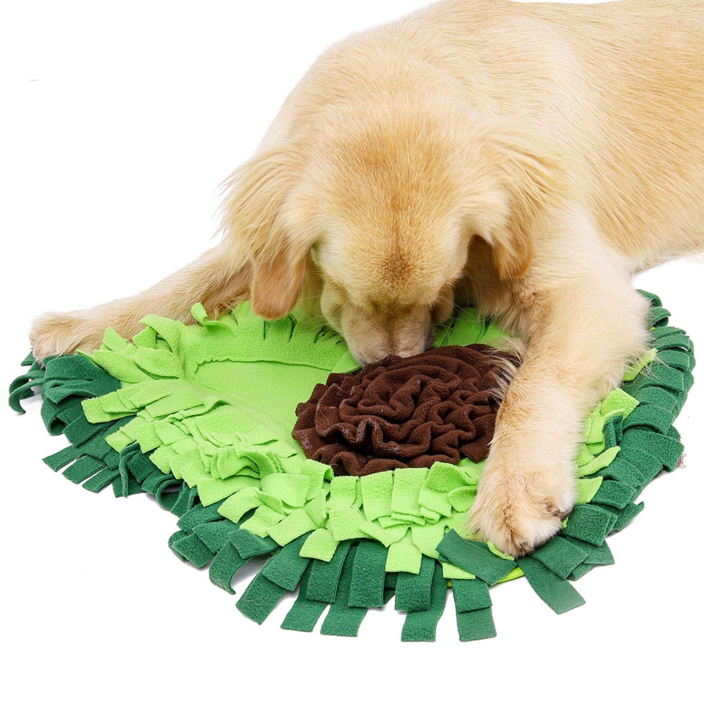 Interactive Dog Novelty Snuffle Mat