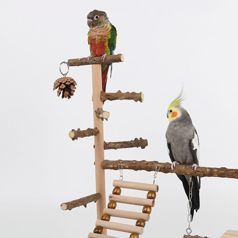 Wooden Explorer Perch for Birds