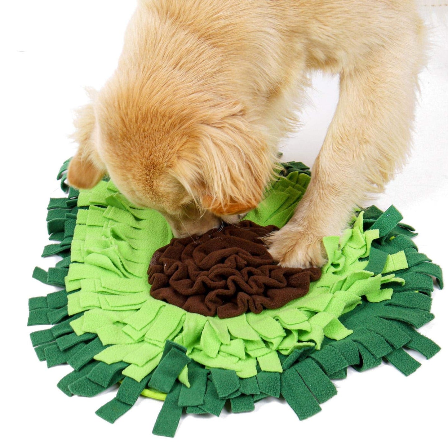 Interactive Dog Novelty Snuffle Mat