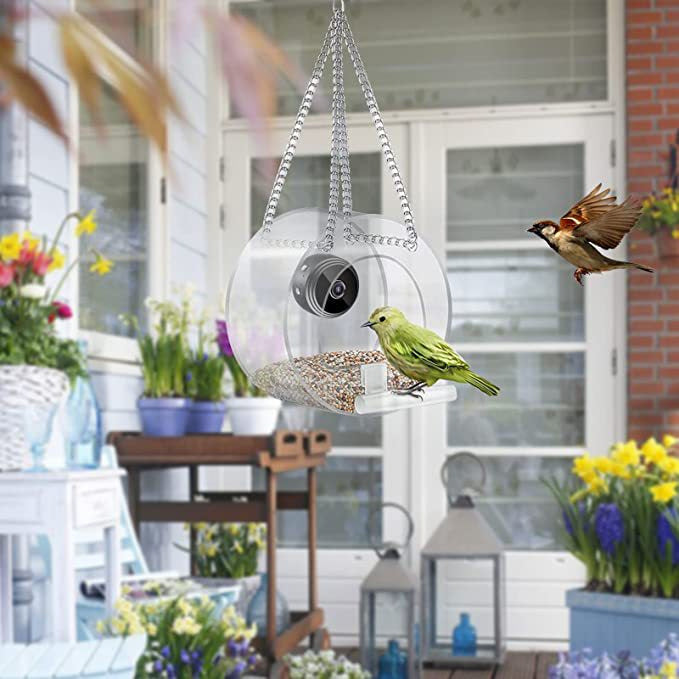 Bird Clear View HD Camera Smart Feeder