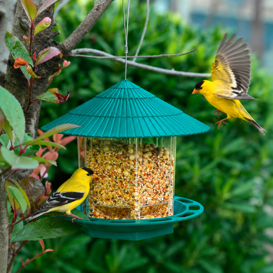 Garden Hanging Perch Seed Feeder