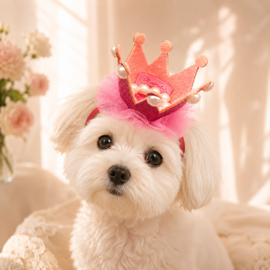 Pet Princess Crown Birthday Hat