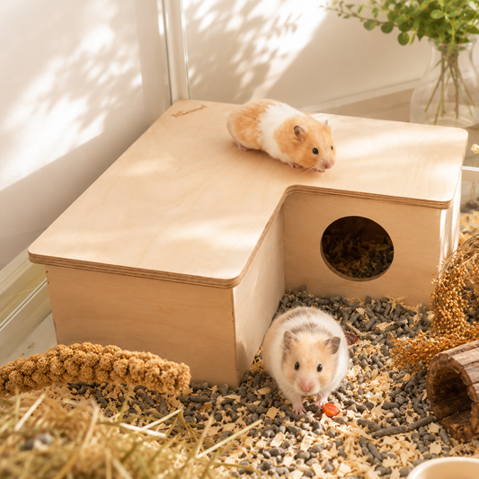 European Birch Wood Hamster Multi-Room House