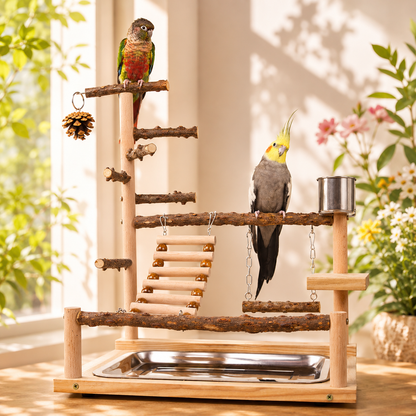 Wooden Explorer Perch for Birds