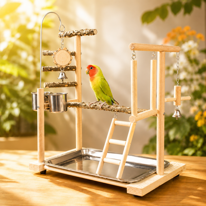 Wooden Bird Activity Playground