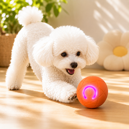 Automatic Dog Interactive Ball Toy