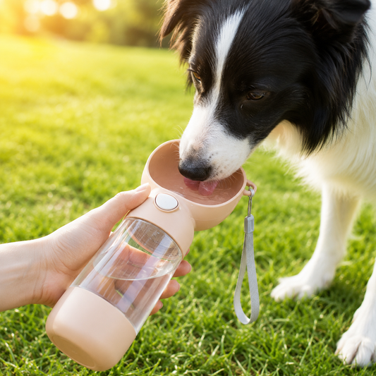 One-Press Pet Travel Bottle with Safety Lock