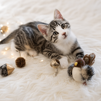 Interactive Chirping Bird Cat Toy