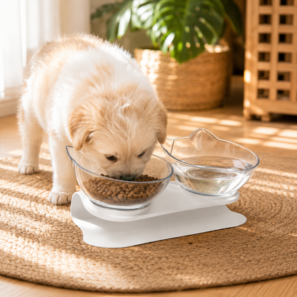 Cat-shaped Transparent Inclined Pet Bowl