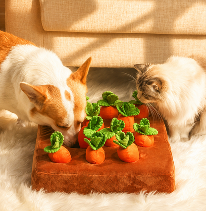 Carrot Plush Snuffle Toy